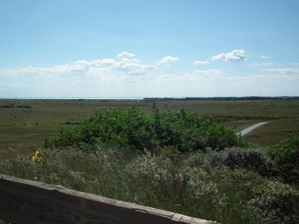 Hollumerduinen Hollum  Zewnętrze zdjęcie