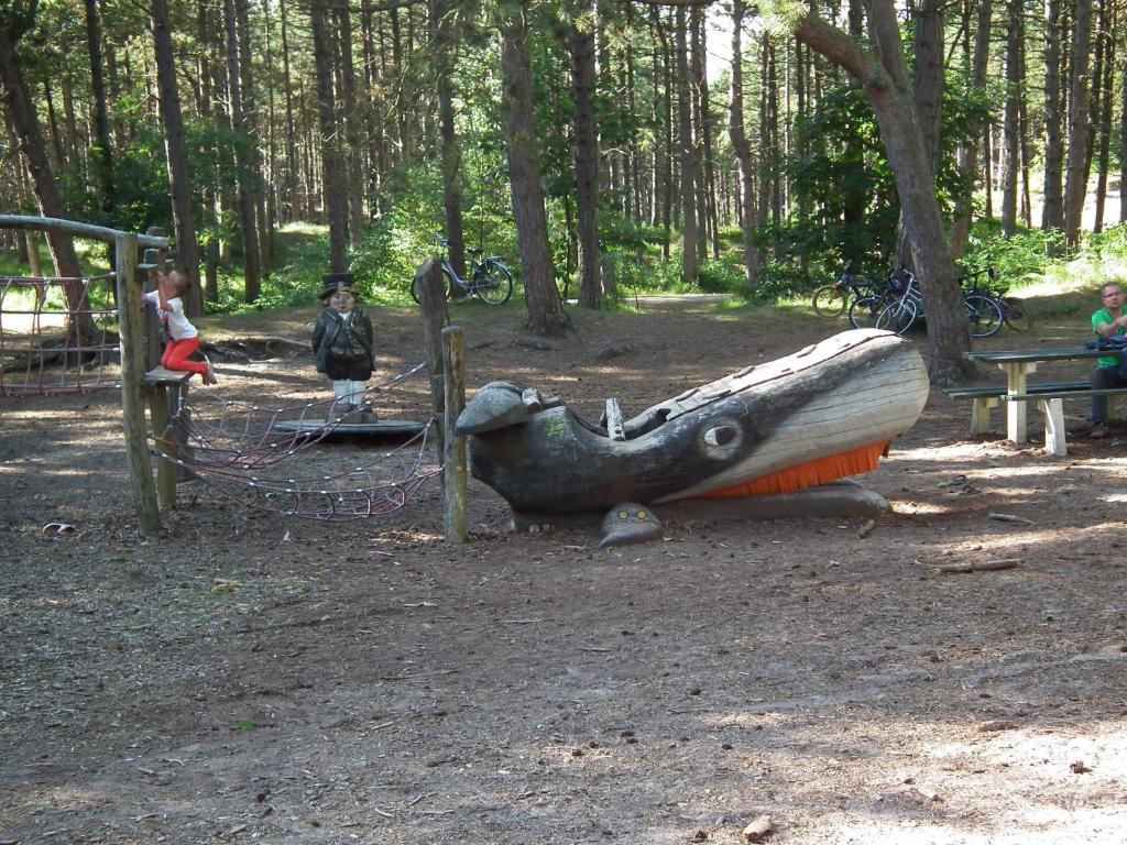 Hollumerduinen Hollum  Zewnętrze zdjęcie